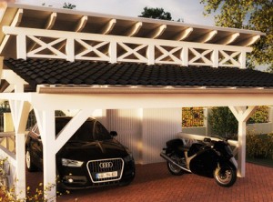 Pultdach Doppelcarport Bausatz